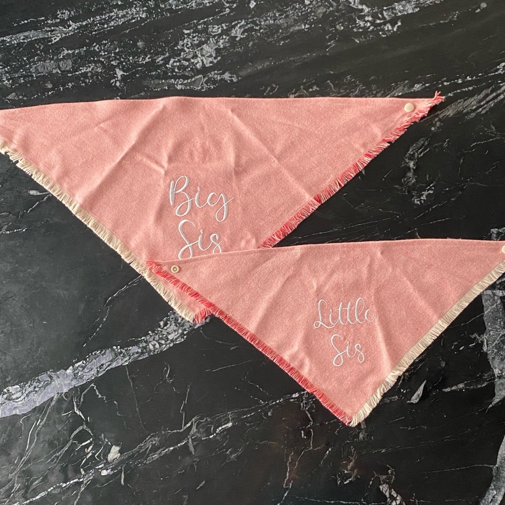 🐶  Big Sis, Little Sis Custom Embroidered Announcement Dog Bandannas (Pair)